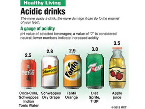 喝水也能瘦？先學會避開酒精飲料的陷阱